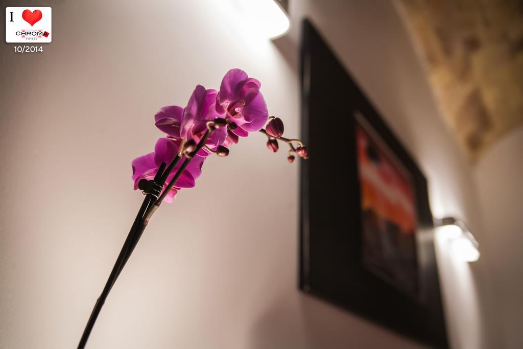 Chroma Italy - Chroma Apt Trastevere Room photo